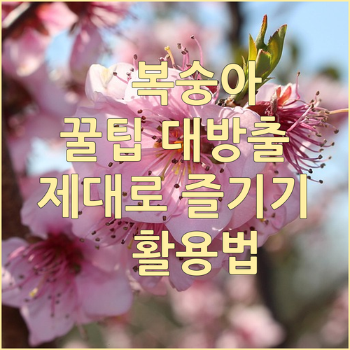 달콤한 복숭아 제대로 즐기기: 선택,..