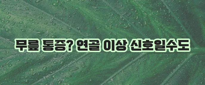 무릎 연골 손상 증상과 종류 원인 꼭 알아야 합니다