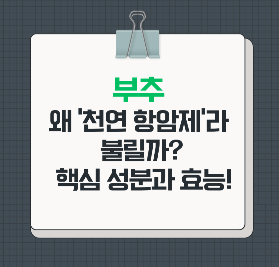 부추, 왜 '천연 항암제'라 불릴까? 핵심 성분과 효능!