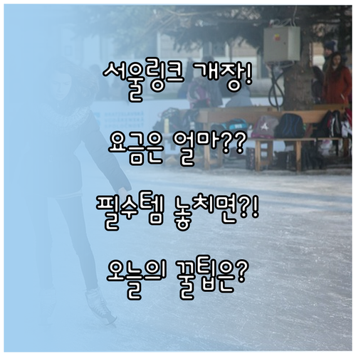 서울광장 아이스링크 이용 요금 장갑 ..