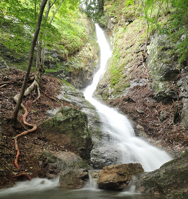 강천산 군립공원 홍보이미지