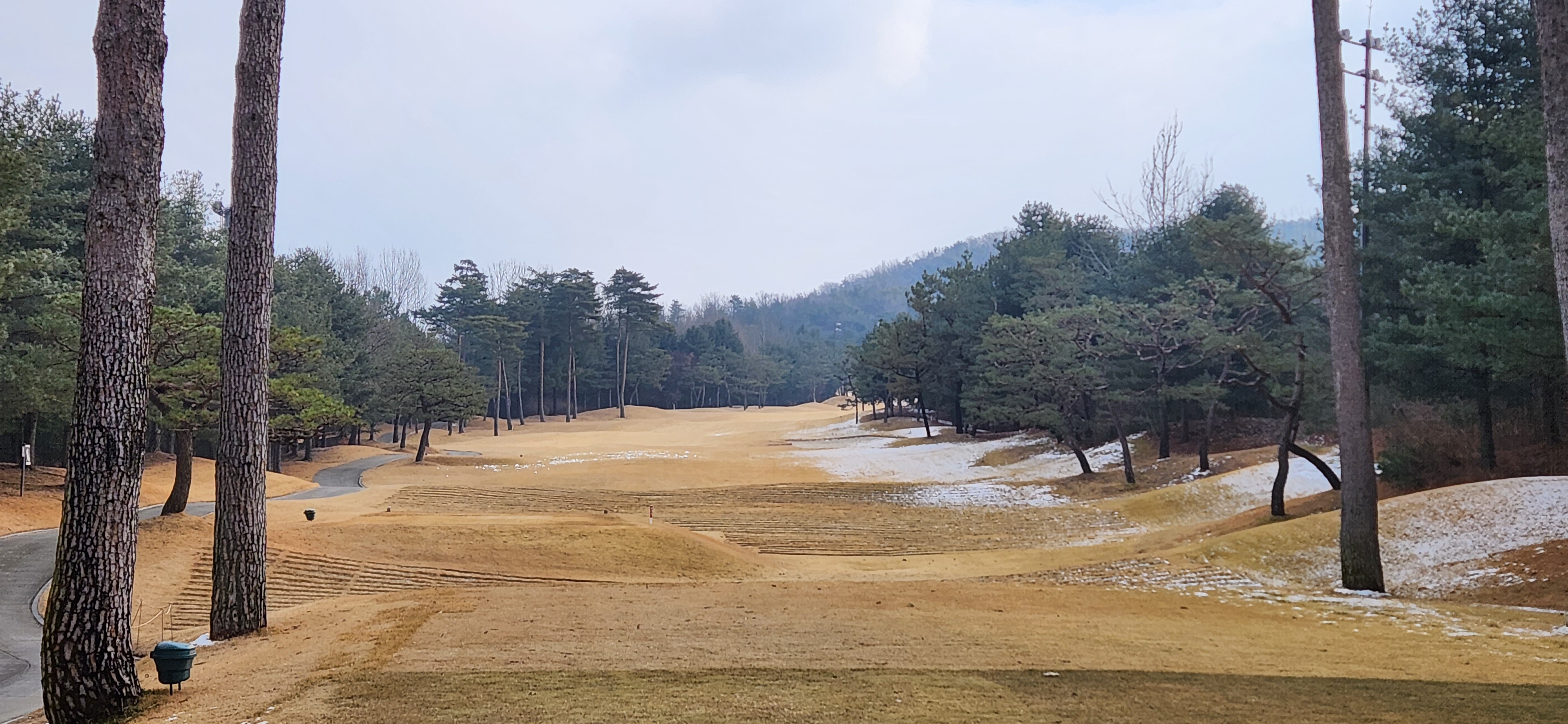 솔모로cc