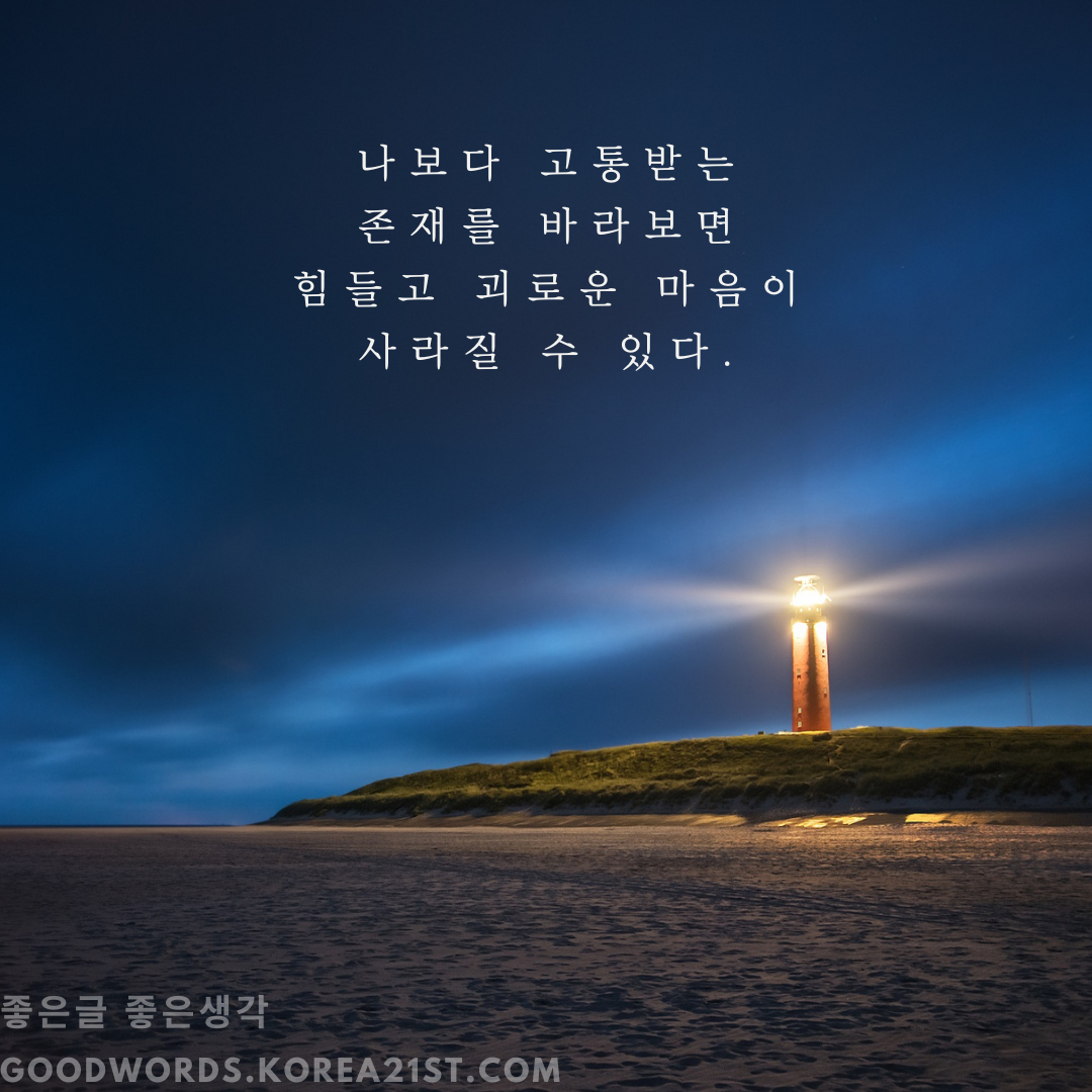 쇼펜하우어 명언 모음 좋은 글귀