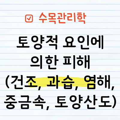 토양적 요인에 의한 피해