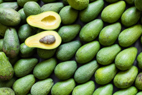 아보카도 효능&amp;#44; 부작용&amp;#44; 먹는 방법 총정리 (2024ver)