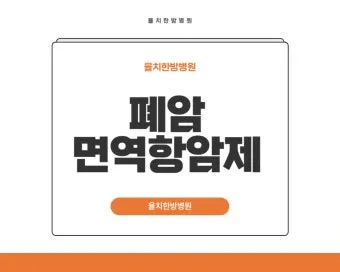폐암 면역항암제 치료비 절반으로 줄이는 보험 활용 전략으로 실전팁_23
