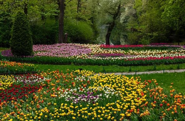 프랑크푸르트 팜가르텐 사진