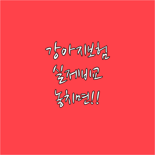 강아지 보험료 얼마나 할까 주요 보험..