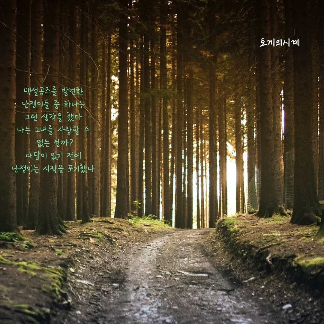 토끼의시계-글