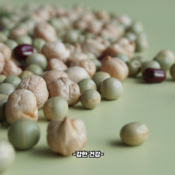 녹두 효능 명불허전