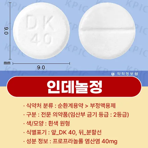 인데놀정 10mg