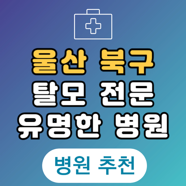 울산 북구 탈모 전문 병원 치료 잘하는 병원 List