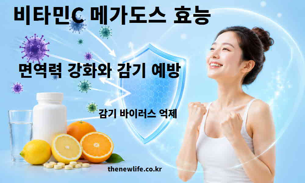 비타민C 메가도스 효능 면역력 강화 감기 예방