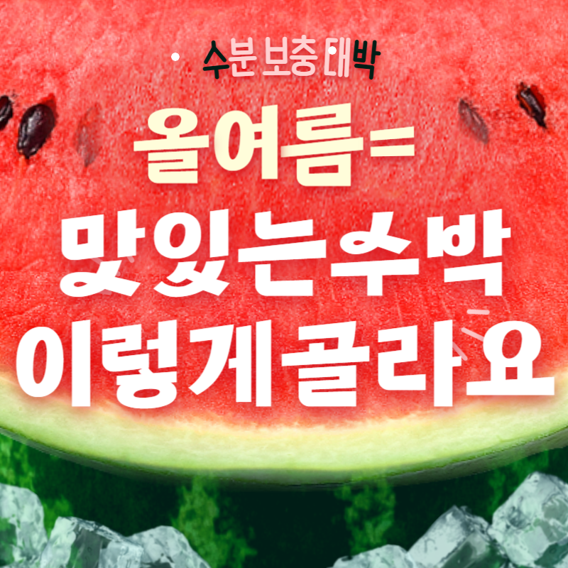 맛있는 수박 고르는 법, 줄무늬 아니에요! 당도 높은 수박 찾는 확실한 기준!!