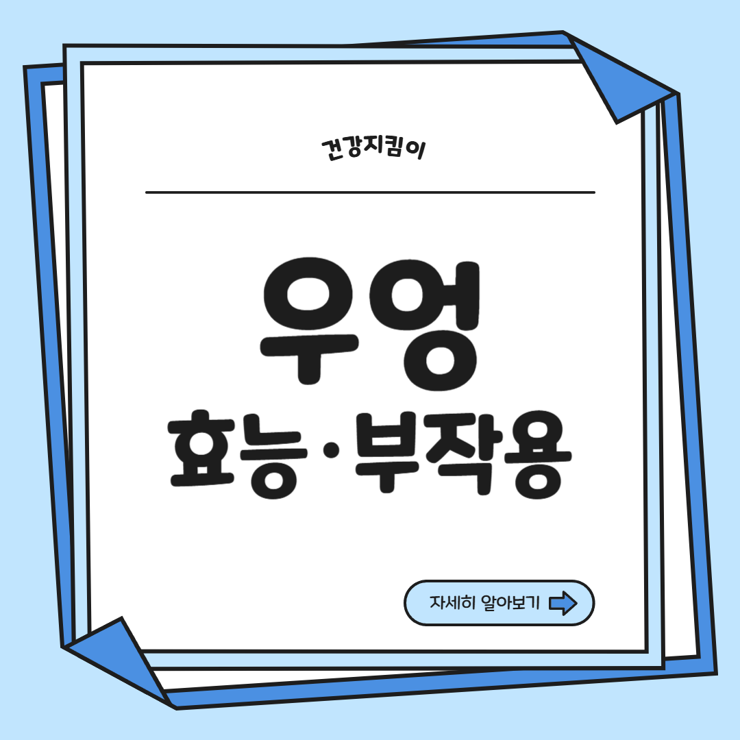 우엉 효능과 부작용 고르는법 요리 먹는법