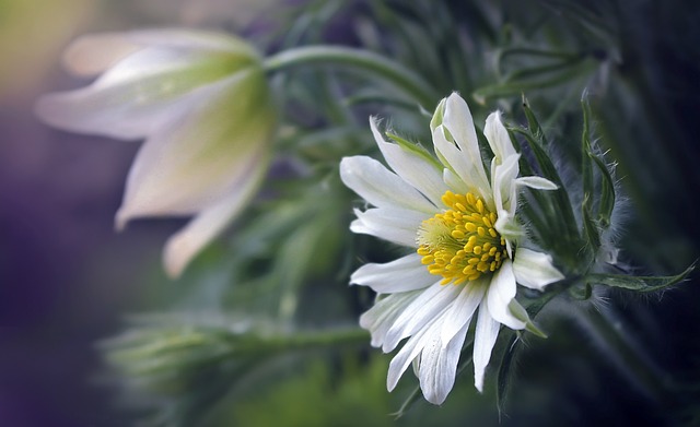 착상혈이란? 시기부터 색깔&amp;#44; 주의할 점까지 총정리