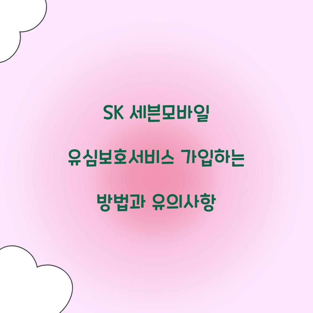 SK 세븐모바일 유심보호서비스