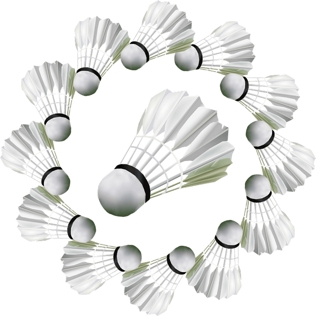 안세영 월드투어 일정