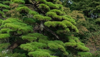 기초연금 수급자격 재산 바로 보기 12