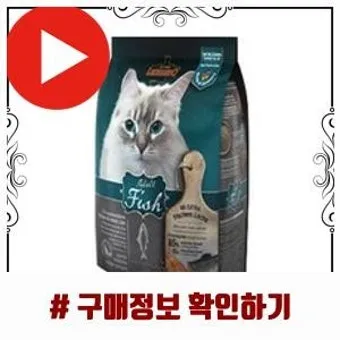 사료됩니다 뜻 사료되다 의미와 활용 예시 자료집_20
