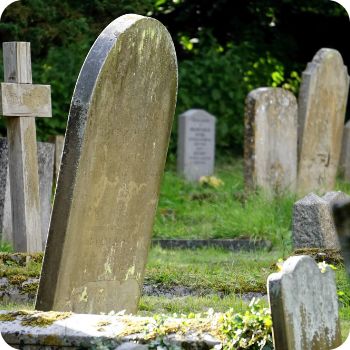 사망보험금 연금수령 