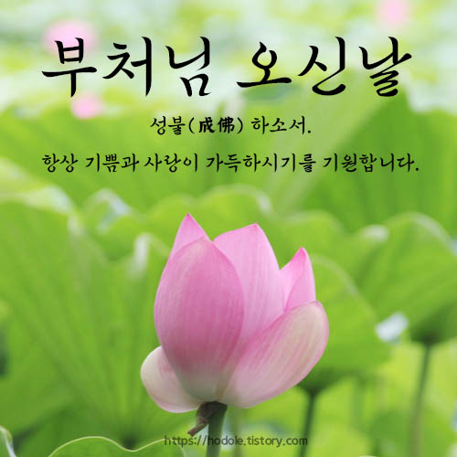 성불하십시오 이미지