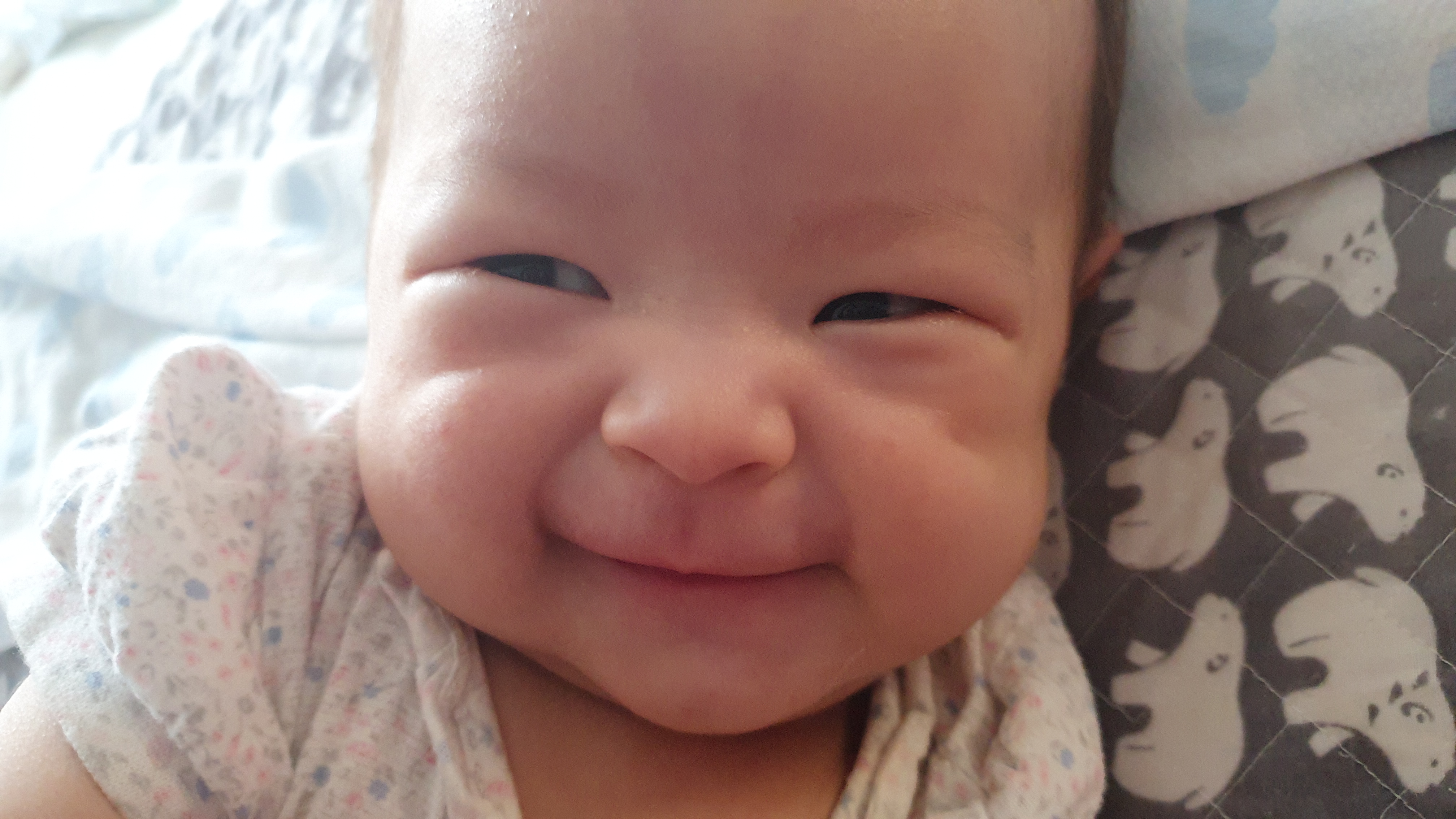 신생아 선물 추천