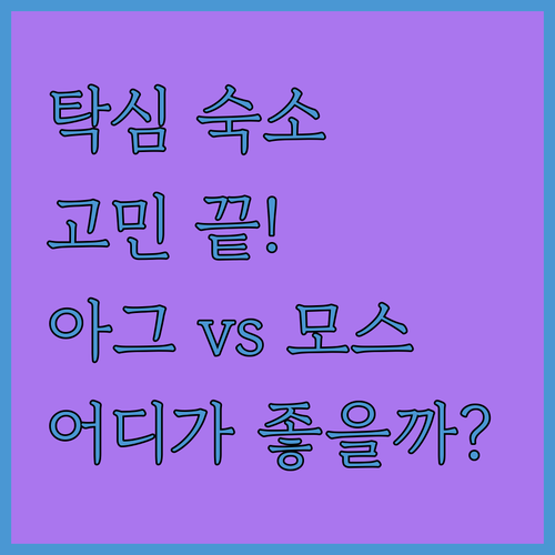 이스탄불 탁심 숙소 고민 끝! 아그 