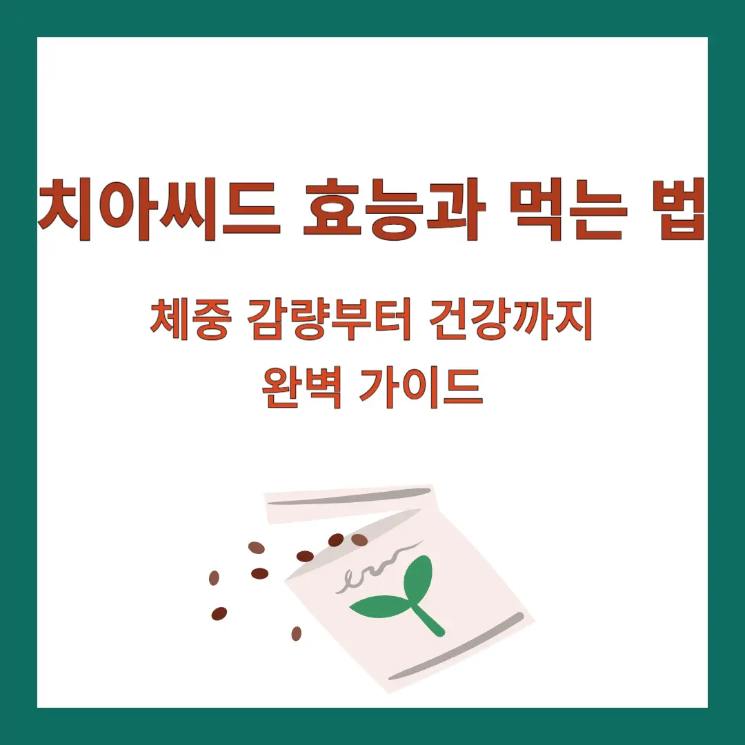 치아씨드-효능-먹는법