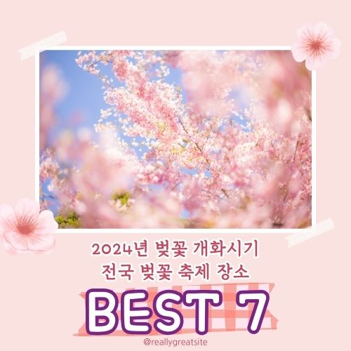 2024 벚꽃 개화시기 : 벚꽃 축제 일정, 축제 명소, 진해 군항제