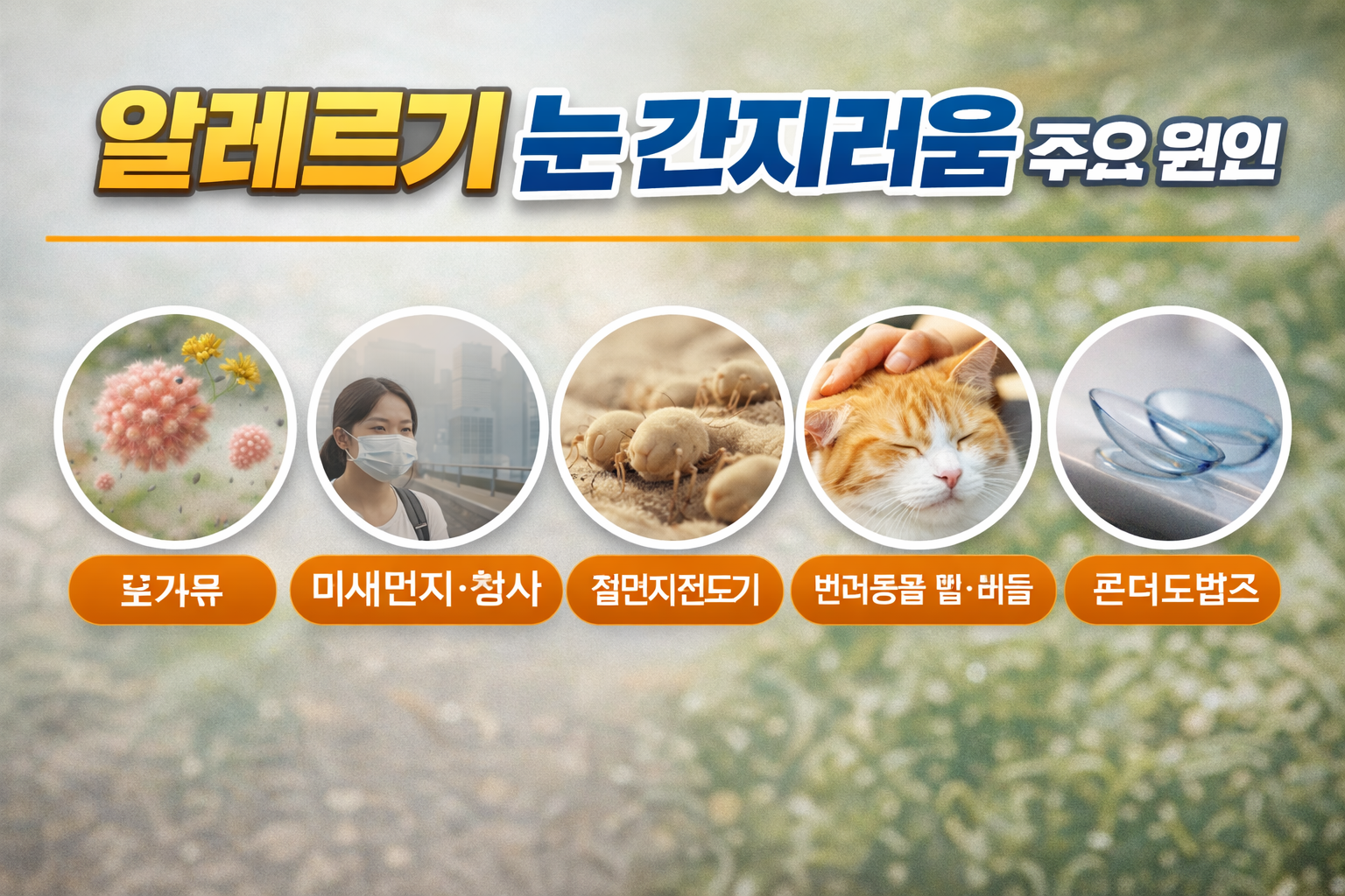 알레르기 눈 간지러움 주요 원인