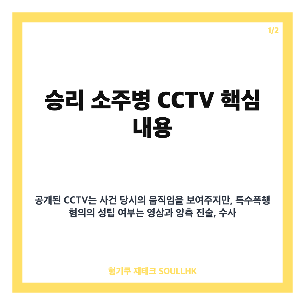 승리 소주병 CCTV 공개, 특수폭행 혐의 쟁점과 양측 입장 정리 카드뉴스 1