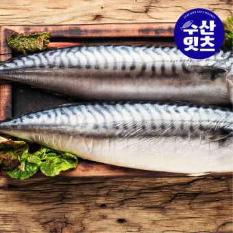 고등어 굽는 방법 비린내 잡기 레시피_14