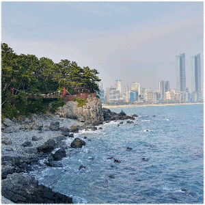 동백섬