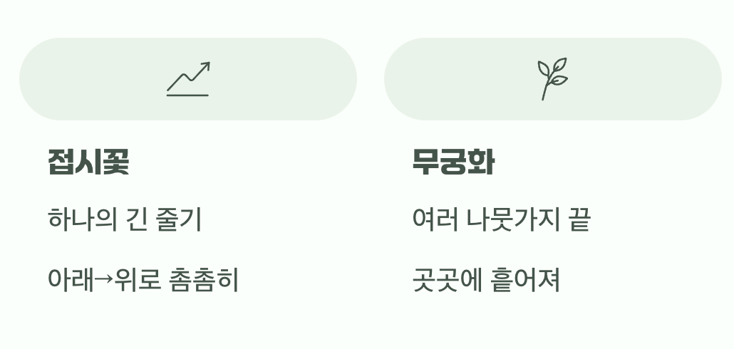 2. 꽃이 피어나는 방식의 차이