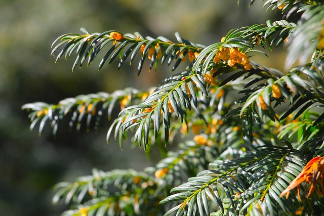 증여세 면제 한도액 변경