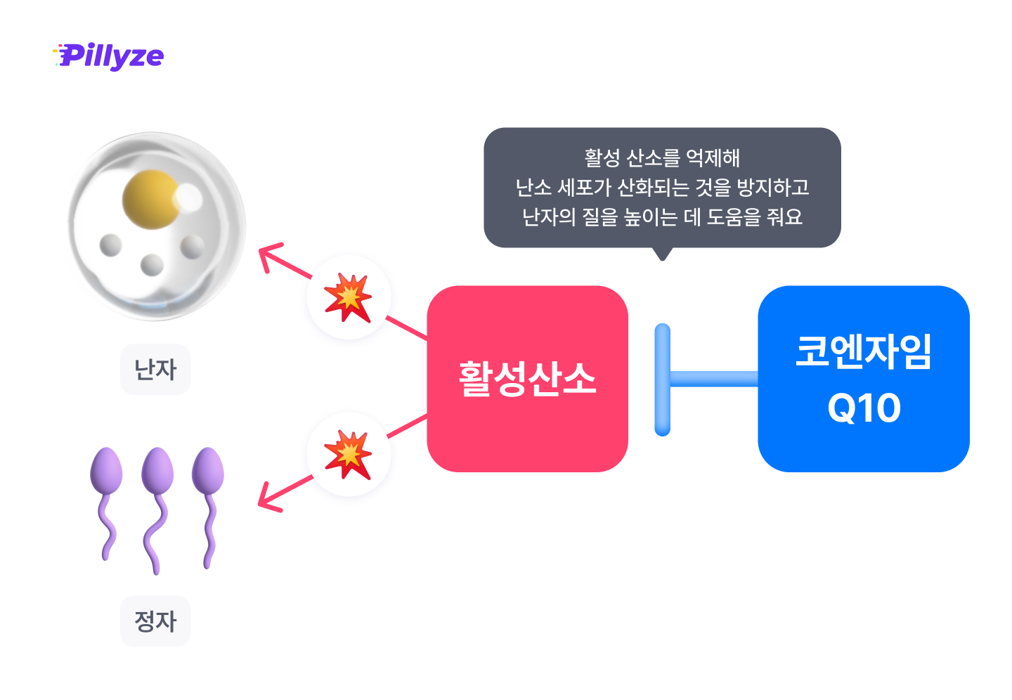 식물성RTG 오메가3