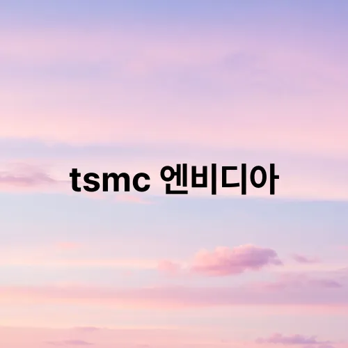 tsmc 엔비디아