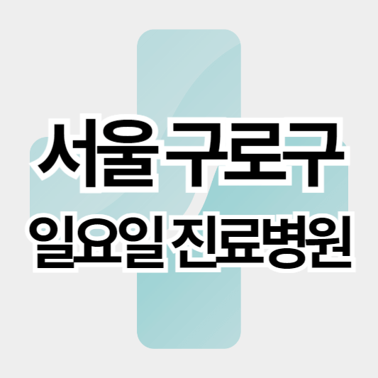서울구로구_일요일진료병원_썸네일
