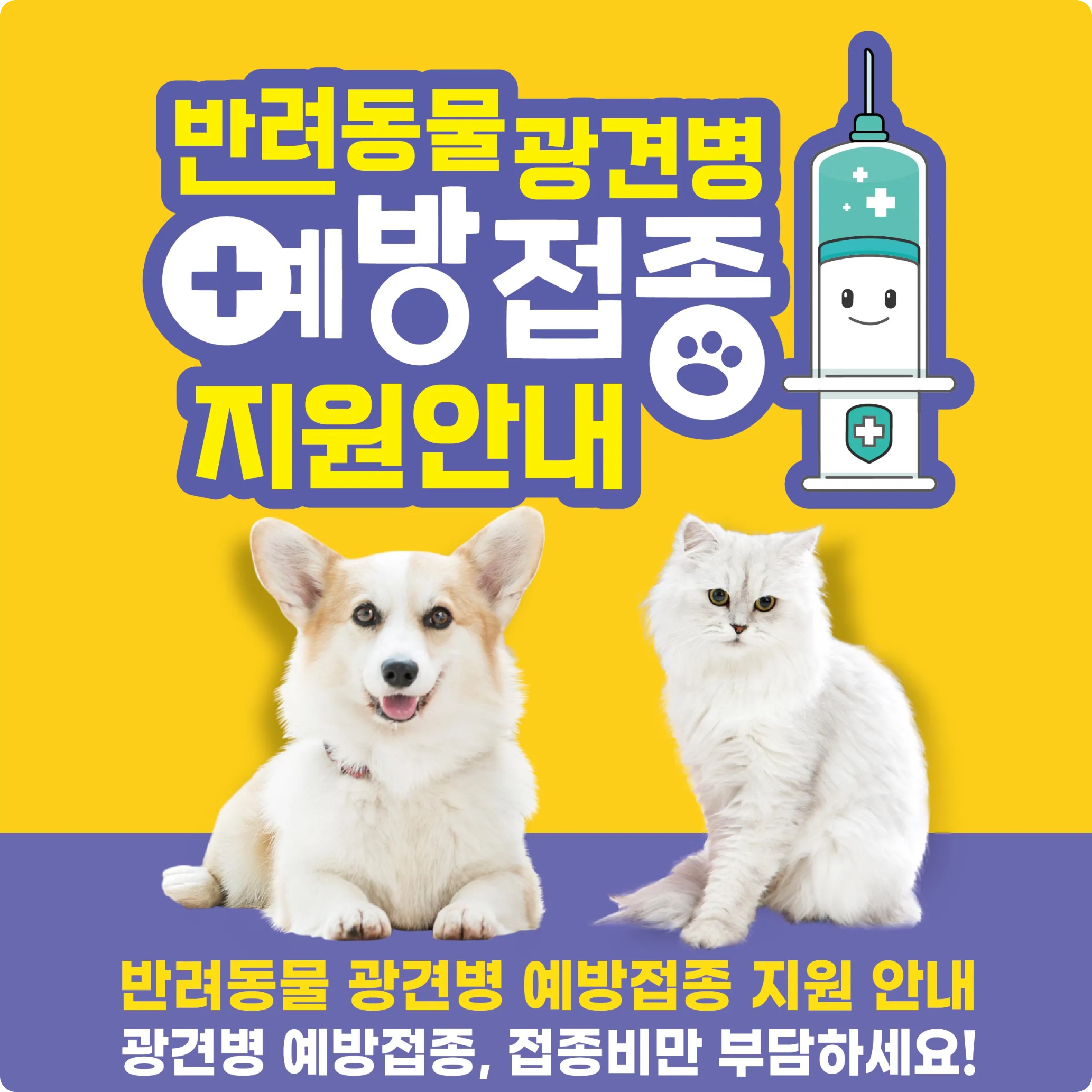 제주 서귀포 반려동물 무료 등록 광견병 예방접종 방법 부작용 반려견 반려묘 동물병원