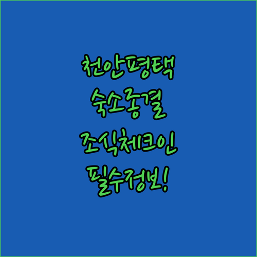 천안 평택 출장 여행 숙소 추천 시설..