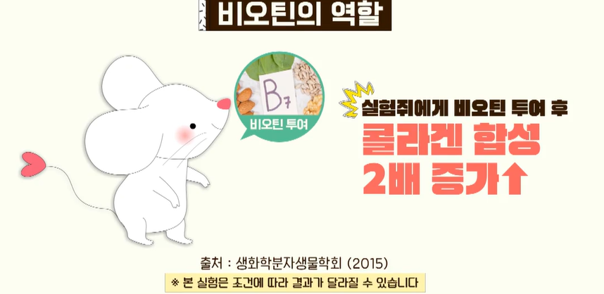 비오틴 효능
