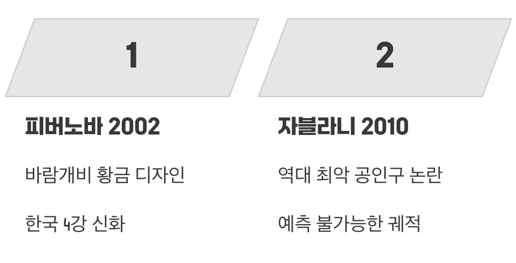 디자인 혁명과 논란의 중심&amp;#44; 피버노바와 자블라니 (2002&amp;#44; 2010)
