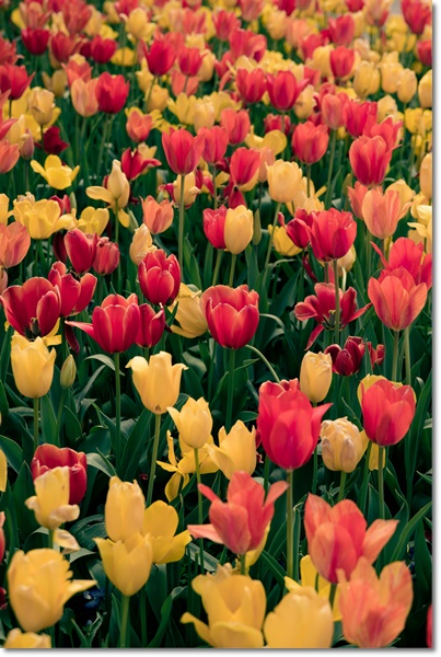 4월 5월 가볼만한곳 지역축제