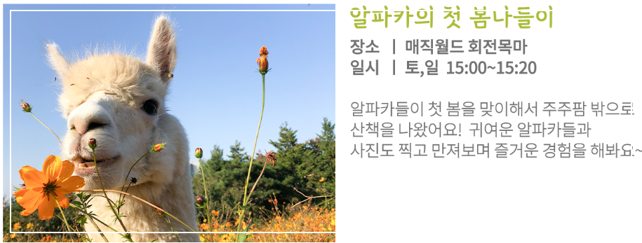 2023년 이월드 블라썸 피크닉 벚꽃 축제 정보 (2023년 벚꽃축제, 지역축제, 3월축제), 83타워, 이월드 벚꽃축제 일정, 추자정보, 요금