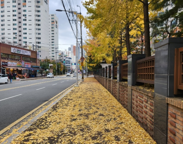 마트가는 길 입니다.