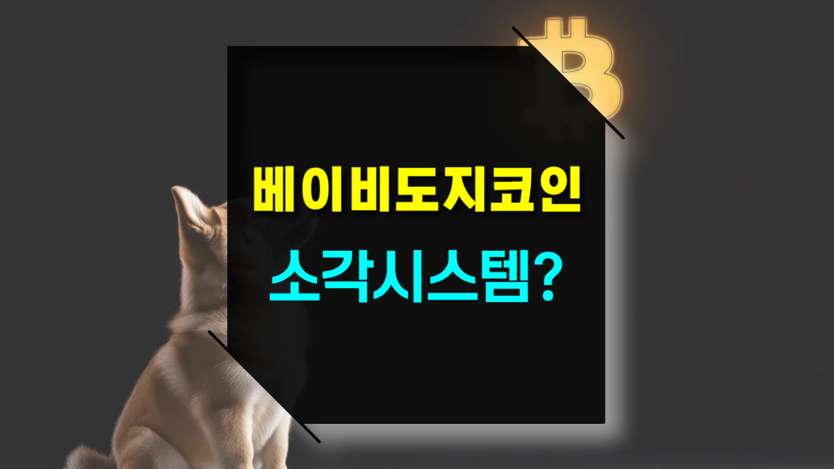 베이비 도지코인 소각시스템 시세 상승의 진짜 이유는