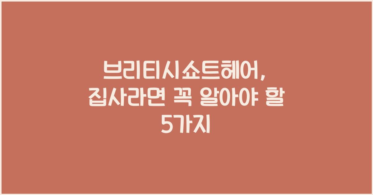 브리티시쇼트헤어