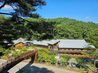 봉화 가볼만한곳 베스트10 현지인 추천 필수코스_5