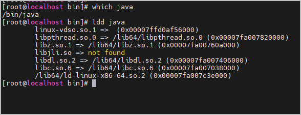java 의존성 확인